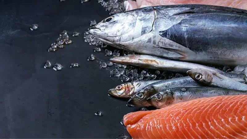Makanan darah tinggi -ikan laut